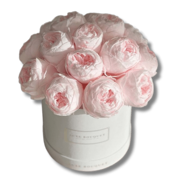 Enchanted Twilight Peonies