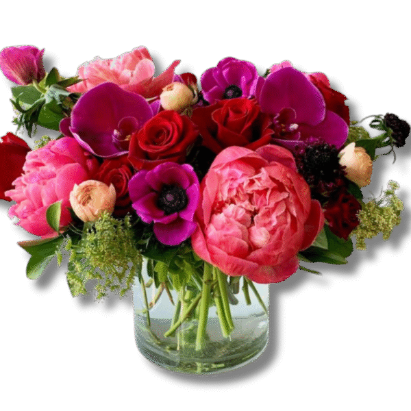 Moonlit Grace Peonies